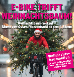 e-bike-event