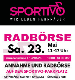 radboerse-e-bike-gebraucht